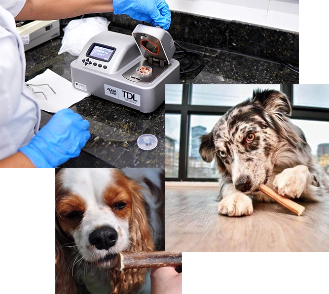 composição de imagem com laboratório de dois outros cães comendo petiscos